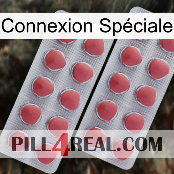Connexion Spéciale 19